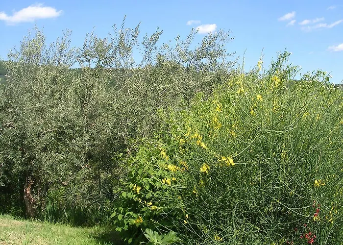 Сasa de vacaciones Guardalaluna *